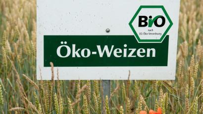 Bild: picture alliance / dpa
Der Ökolandbau ist in Bayern trotz gesetzlich festgelegter Ausbauziele noch immer eher die Ausnahme als die Regel. (Archivbild)