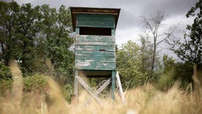 Bild: Tim Würz/dpa
Das bayerische Jagdrecht wird reformiert. (Archivbild)