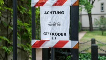 Symbolbild: Jens Kalaene/dpa
Ein Hund erkrankte schwer nach dem Verzehr von Giftködern in Postbauer-Heng. Die Polizei ermittelt und sucht Zeugen.