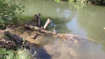 Bild: WWA Weiden, Susanne Schwab
Dieser Wurzelstock und der Baumstamm sind im Ufer verankert und quer zur Fließrichtung eingebaut. Hinterfüllt wurden diese mit umgelagertem kiesigem Material. Diese Strukturelemente bieten den Fischen zahlreiche Versteckmöglichkeiten und dienen als Brutstätte für Kieslaicher.