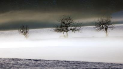 Bild: Karl-Josef Hildenbrand/dpa
Mild und trüb soll es in Bayern am Wochenende werden. (Symbolbild)