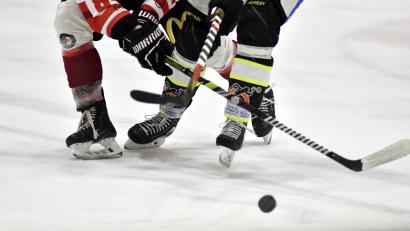Archivbild: Hubert Ziegler
Beim EV Dingolfing gingen die Wild Lions sang- und klanglos mit 12:2 unter.