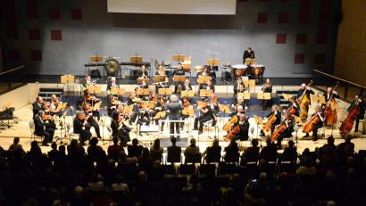 Bild: Kunz
Das Sinfonieorchester der Stadt Weiden begleitet den Naturfilm.