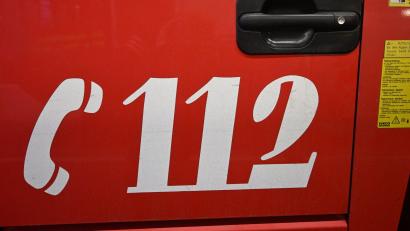 Bild: Felix Hörhager/dpa
Bei einem Brand sind 100 Schweine verendet. (Symbolbild)