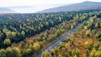 Bild: Swen Pförtner/dpa
Die Forschenden empfehlen verschiedene Varianten, um das Klima zu schützen. (Symbolbild)