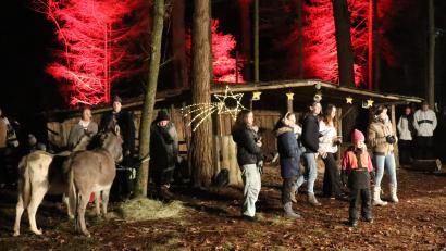 Archivbild: mma
Eine ganz besondere Stimmung herrscht bei der Sorghofer Waldweihnacht.