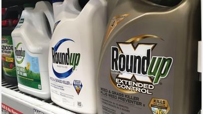 Bild: Haven Daley/AP/dpa
Behälter mit Roundup stehen in einem Ladenregal in San Francisco. (Archivbild)