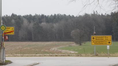 Bild: Hirsch
In diesem Waldstück an der Grenze von Schwandorf und Burglengenfeld soll ein Windpark mit zwölf Windrädern entstehen.