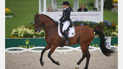 Bild: picture alliance / dpa
Isabell Werths Pferd Don Johnson, hier bei der EM 2015 in Aachen, ist tot. (Archivbild)