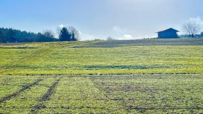 Bild: Krones
Die Planung für das Bebauungsgebiet Seugast "Zierlohe" befindet sich in der Endphase. Die Nachfrage vor allem von jungen Familien ist groß. Ein Schuppen im Besitz der Gemeinde (hinten rechts) wird abgerissen.