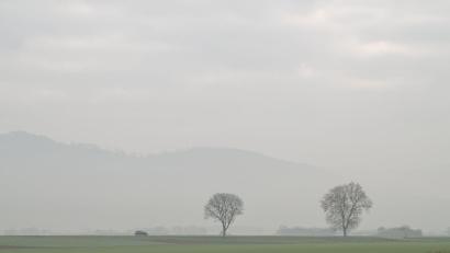 Symbolbild: Uwe Anspach/dpa
Nebel und Hochnebel prägen in den nächsten Tagen das Wetter in der Oberpfalz.
