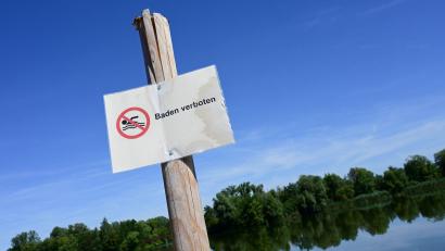 Bild: Uwe Zucchi/dpa
Im September wurde wegen zu vielen Fäkalkeimen Baden im Zusmarshauser Rothsee verboten. (Symbolbild)