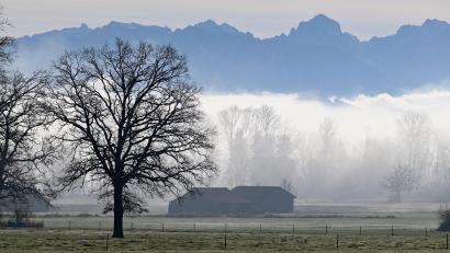 Bild: Uwe Lein/dpa
In den Bergen und im südlichen Alpenvorland erwartet der DWD Sonne. (Archivbild)