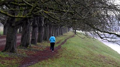 Symbolbild: Roberto Pfeil/dpa
Ein Mann hat in Fürth einer Polizistin in Zivil beim Joggen in den Schritt gegriffen - und ist von ihr direkt festgenommen worden.
