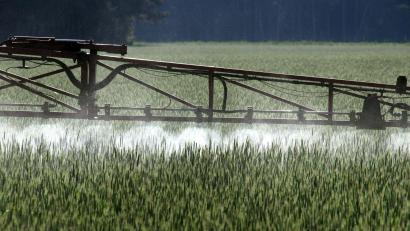 Bild: Peter Förster/dpa
Die EU hat die Genehmigung für Glyphosat zuletzt bis Ende 2033 verlängert. (Symbolbild)