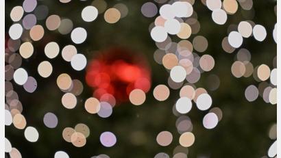 Bild: Jennifer Brückner/dpa
Für eine Geschichte wie aus einem Weihnachtsfilm sorgte ein Weihnachtsbaum-Dieb im Unterallgäu. (Symbolbild)