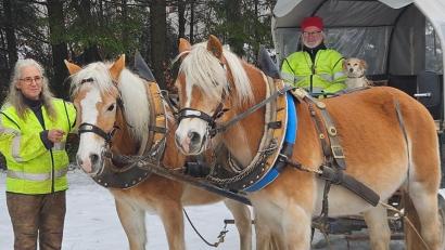 Bild: hka
Kutschfahrten mit den Haflingern sind sommers wie winters sehr beliebt bei Kindern und Erwachsenen. An Sonntagen unternehmen Angela Ruppert und Peter Wenisch allein eine Ausfahrt, nur Mischlingshündin Lady ist dabei.