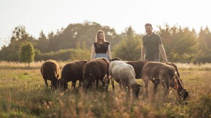 Bild: Stefan Sperl
So idyllisch auf der Wiese grasen die Schafe von Simone Ostermeier und Andreas Braun nur im Sommer, im Herbst geht es ab in den Stall.