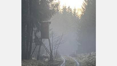 Bild: Christian Ertl/exb
Schlechtes Wetter mit Nebel und Regen reduziert in den ohnehin kurzen Wintertagen die Chance, Wild bei passendem Büchsenlicht erspähen zu können nochmals erheblich.