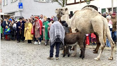 Bild: Ruth Bär/Deutsches Hirtenmuseum Hersbruck/exb
Traditionell schauen die Sternsinger beim Hirtentag in Hersbruck vorbei. Auf den Kamelen darf geritten werden.
