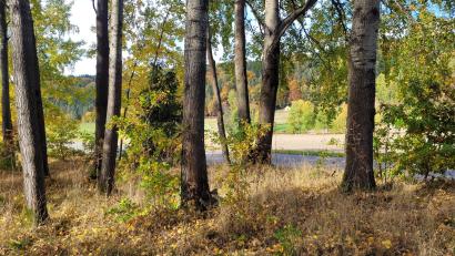 Bild: Deml/exb
Ein Naturfriedhof soll nach dem Willen der Firma Trauerwald Bayern GmbH an der Verbindungsstraße von Dautersdorf nach Jedesbach errichtet werden, nahe der Abzweigung zur Schönbuchenkapelle (im Hintergrund zu sehen). .