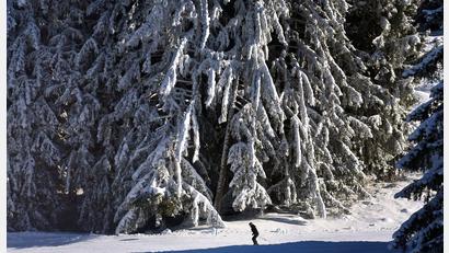 Bild: Karl-Josef Hildenbrand/dpa
Verglichen mit früheren Jahren fällt nicht nur weniger Schnee, er schmilzt auch schneller dahin. (Archivbild)