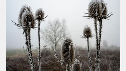 Bild: Stefan Puchner/dpa
„Zunehmend winterlich kalt“, lautet die Vorhersage des Deutschen Wetterdiensts (DWD) für die nächsten Tage.