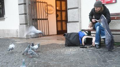 Bild: Gabi Schönberger
Mirjam aus Flossenbürg kümmert sich in ihrer Freizeit um die Tauben in Weiden. Von der Stadt würde sie sich mehr Unterstützung wünschen.