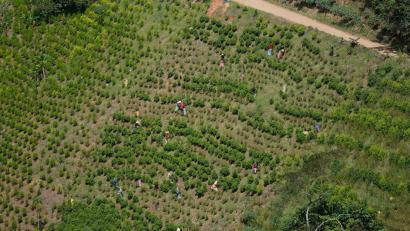 Bild: Fernando Vergara/AP
Kolumbien ist der größte Kokainproduzent der Welt. (Archivbild)