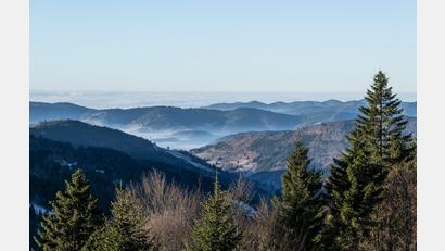 Bild: Silas Stein/dpa
Zum Start in das letzte Wochenende des Jahres kommt etwas mildere Luft nach Deutschland