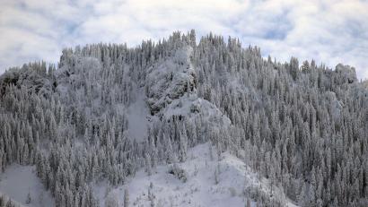 Bild: Karl-Josef Hildenbrand/dpa
Die Bahn auf den Tegelberg nahe Schloss Neuschwanstein fuhr nach dem Brand am Montag nicht mehr. (Archivbild)