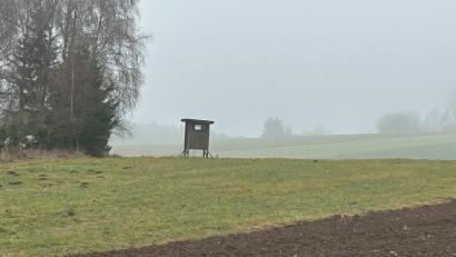 Bild: ck
Keine guten Aussichten für Jäger. Bei Nebel und milden Temperaturen macht sich das Wild rar.