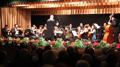 Archivbild: jma
Die Ungarische Kammerphilharmonie tritt am 6. Januar in Auerbach auf.