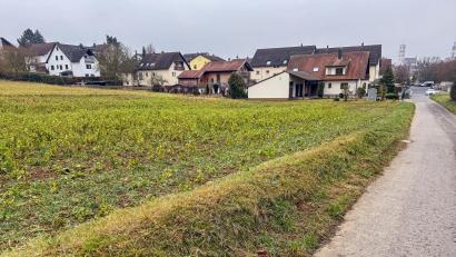 Bild: Stephan Huber
Das größte künftige Baugebiet, das demnächst in der Stadt ausgewiesen wird, ist der Bereich nördlich der Sauerzapfstraße und heißt „Am Katzenberg Nord“. Hier entstehen auf 3,6 Hektar Einzel-, Doppel-, Reihen- und Mehrfamilienhäuser.