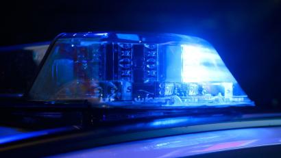 Bild: Julian Stratenschulte/dpa
Einsatzkräfte konnten das erschöpfte aber unverletzte Tier einfangen. (Symbolbild)