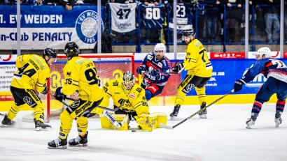 Bild: Tobias Neubert
Die Krefeld Pinguine (gelbe Trikots) haben Danny aus den Birken unter Vertrag genommen. Ein Garant für den Aufstieg? Könnte sein.