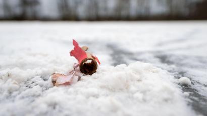 Bild: Pia Bayer/dpa
Im Dezember waren sich die Innenminister von Bund und Ländern bei einem Treffen in Bremen nicht einig über ein Böllerverbot geworden. (Archivfoto)