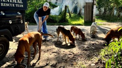 Bild: Alexander Keil
Anita Eichhorn begleitete in Sri Lanka die Fütterungstouren der Doc Care Clinic.