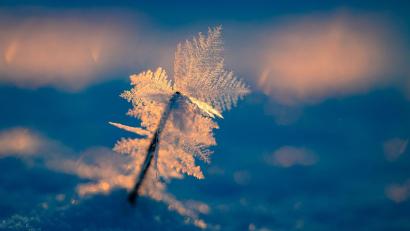 Bild: Patrick Pleul/dpa
Eisige Temperaturen können für Menschen ohne Wohnung lebensgefährlich sein.
