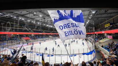 Bild: Robert Michael/dpa
Die Dresdner Eislöwen spielen seit dieser Saison in der DEL. (Archvbild)