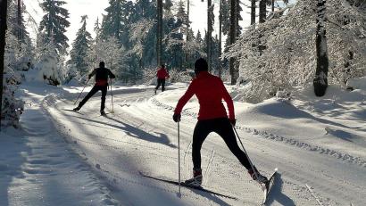 Bild: Siegfried Fillipp/WSV Schönsee
Die Panoramaloipe im Sonnenschein: Der Traum jedes Langläufers.