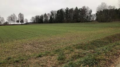 Bild: wro
Ob der neue Sportplatz im Nordosten des Waldbadeweihers – zwischen Fuchsmühl und Güttern gelegen – einmal gebaut wird, hängt auch von der staatlichen Förderung ab.