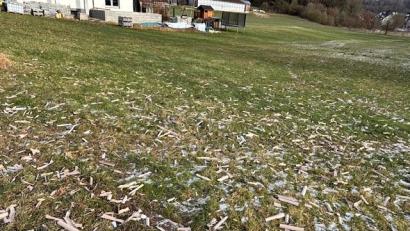 Bild: Oberpfalz-Medien
Am Neujahrsmorgen sah es auf der Wiese von Gerald Meyer so aus – er lobte aber die Jugendlichen, die die Feuerwerks-Reste unverzüglich beseitigt haben.