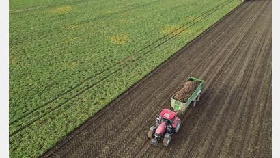 Bild: Jan Woitas/dpa
Die Preise für viele Agrarprodukte sind derzeit unter Druck. (Archivbild)