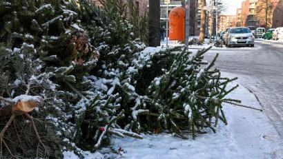 Bild: Jens Kalaene/dpa
Die Christbäume waren jeweils mit vier Euro als Spende für die Pfadfinder bestückt. (Symbolbild)