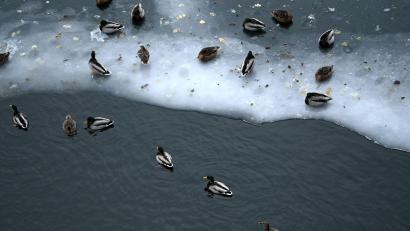 Bild: Elisa Schu/dpa
Nun steht vor allem dem Osten Deutschlands Glatteis-Gefahr bevor.