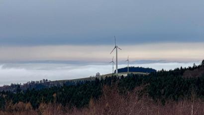 Bild: Susanne Forster
Windräder drehen sich in der Nähe von Bärnau. Das Thema Windenergieanlagenplanung möchte Bärnau selbst in die Hand nehmen. Deshalb möchte sie künftig möglicherweise mit einer Fachfirma kooperieren. Zwei potenzielle Kandidaten präsentierten nun dem Stadtratsgremium erste Ideen.