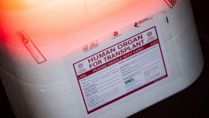 Symbolbild: Sebastian Gollnow/dpa
Die Zahl der Organspender in Bayern ist leicht rückläufig.