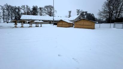 Bild: Nina Lang
Die Kunsteisbahn wird am Tag der Eröffnung, Donnerstag, 15.Januar, aufgebaut. Bis dahin ist dann auch der Platz geräumt. Für die Gastronomie haben Bauhofmitarbeiter die Wintergarten-Buden im Sport- und Freizeitzentrum aufgestellt.