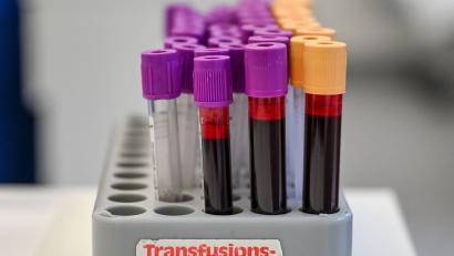 Bild: Jens Kalaene/dpa
Eine Blutspende kann bis zu drei Menschen helfe (Symbolbild).